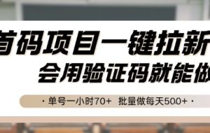 首码项目一键拉新，会用验证码就能做 单号一小时70+，批量做每天5张【揭秘】