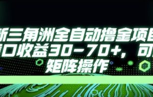 最新AI全自动游戏撸金项目，单窗口收益30-70+，可批量操作【揭秘】