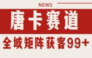 唐卡赛道私域引流获客 自热矩阵SOP日引流99+精准客资【揭秘】