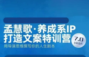 孟慧歌·养成系IP打造文案特训营7.0+高价IP私教班