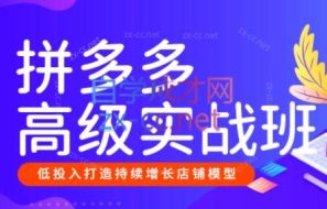 美迪创客·拼多多高级实战班+开店推广班（更新6月）