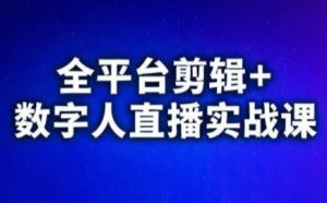 视频号、快手、抖音全平台剪辑+数字人直播实战课（更新6月）​