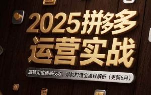 （15235期）2025拼多多运营实战：店铺定位选品技巧，爆款打造全流程解析（更新6月）