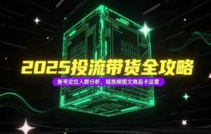 （15233期）2025投流带货全攻略，账号定位人群分析，短视频图文商品卡运营