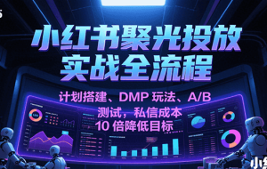 小红书聚光投放实战全流程，计划搭建、DMP玩法、A/B测试，私信成本10倍降低目标
