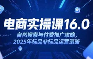 （15262期）淘宝电商运营课16.0，自然搜索与付费推广攻略，2025年标品非标品运营策略
