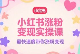 小红书涨粉变现实操课，最快速度带你涨粉变现