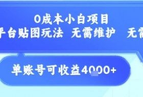 0成本小白项目，设计平台贴图玩法，无需维护，无需成本，单账号单月可产生收益4k+