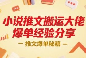 小说推文搬运大佬爆单经验分享，推文爆单秘籍
