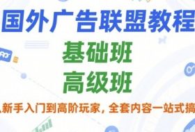 国外广告联盟教程，基础班和高级班，从新手入门到高阶玩家，全套内容一站式搞定