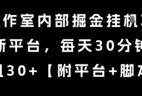 某工作室内部掘金挂G项目，新平台，每天30分钟，单机30+【揭秘】