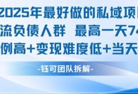 2025年最好做的私域项目，引流负债人群，最高一天变现7.4k，人群占比高，变现难度低，当天就能见到钱