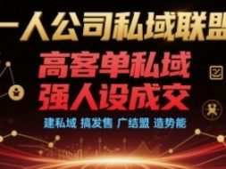 一人公司私域联盟，高客单私域，强人设成交，建私域 搞发售 广结盟 造势能