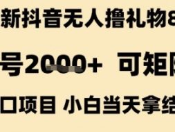 最新抖音无人撸礼物8.0，单号2k+，可矩阵风口项目，小白当天拿结果【揭秘】