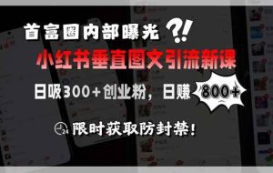 （15313期）首富圈内部曝光小红书垂直图文引流新课，日吸300+创业粉，日赚800+，限…