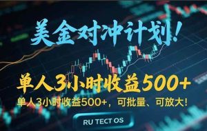 （15321期）长久稳定的撸美金项目，平均3小时收入 500+，可公司实地考察实地操作！