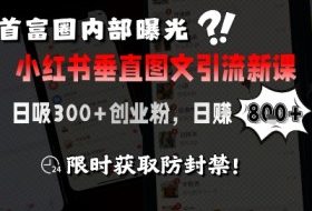 首富圈内部曝光小红书垂直图文引流新课，日吸300+创业粉，日入8张+，限时获取防封禁