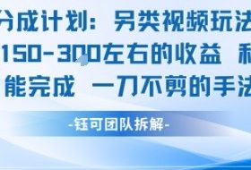 视频号分成另类视频玩法单号每天固定150左右的收益利用AI就能完成一刀不剪的手法