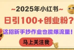 2025年小红书日引100+创业粉？这招新手抄作业也能爆流量！