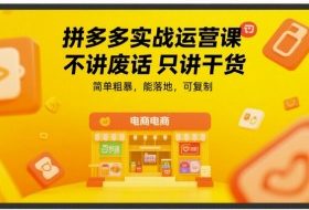 拼多多实战运营课，不讲废话只讲干货，简单粗暴，能落地，可复制