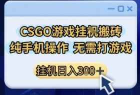 CSGO游戏挂G搬砖，小白纯手机即可操作，不用电脑打游戏，日入3张+，副业网创项目【揭秘】