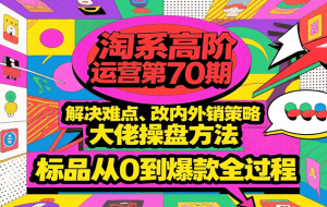 淘系高阶运营第70期，解决难点、改内外销策略，大佬操盘方法，标品从0到爆款全过程