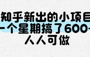 知乎新出的小项目，一个星期搞了600+，人人可做