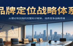 品牌定位战略体系，从理论到实践的完整知识框架，培养产品竞争战略思维