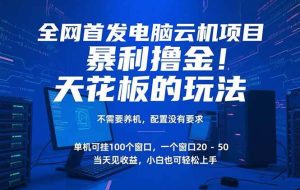 （15323期）电脑云机项目 暴力撸金玩法，不需要养机 配置没有要求 单机100个窗口一…