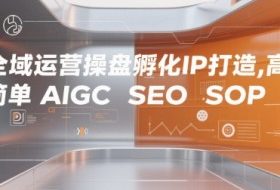 全域运营操盘孵化IP打造，高效 简单 AIGC SEO SOP