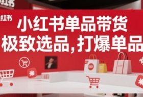 小红书单品带货，极致选品，打爆单品