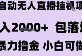 最新全自动抖音无人直播挂G项目，日入2k+ 包落地暴力撸金，小白可做【揭秘】