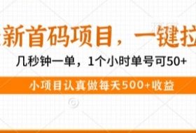 最新首码项目，操作最简单，收益高，一键拉新，1个小时单号可50+，小项目认真做每天5张+收益【揭秘】