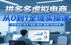 拼多多虚拟电商从0到1全域实操课，包含选品/技术/运营/避坑/复制/私域裂变