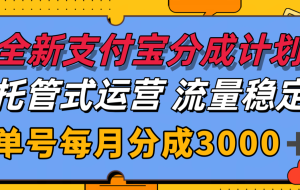 全新支付宝分成代运营，独家技术，收益稳定，单号月入3000＋