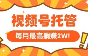 （15331期）【视频号托管 】我提供视频，你每天５分钟复制发布，最高月入1W