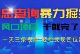 信息查询暴力掘金，一天三条视频，轻松变现四位数，风口项目干就完了【揭秘】