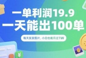 一单利润19.9 一天能出100单，每天发发图片，小白也能月入过1W【揭秘】