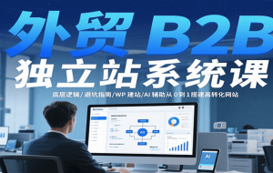 外贸B2B独立站系统课：底层逻辑/避坑指南/WP建站/AI辅助从0到1搭建高转化网站