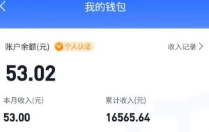 适合空闲时间操作的小红书低保项目，小红薯发布笔记，单个账号每天可获得2-12元左右