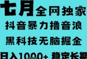 7月最新风口抖音无人直播撸音浪，长期稳定，非短期，全自动运行，低门槛无脑，日入1k+【揭秘】