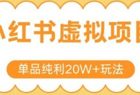 小红书卖虚拟产品，单品纯利20W+玩法分享，4节系列课程