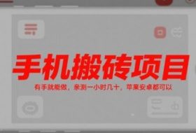 手机搬砖项目，有手就能做，亲测一小时几十，苹果安卓都可以
