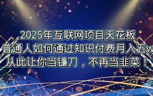 （15354期）2025年互联网项目天花板，普通人如何通过卖项目实现逆风翻盘，月入5W＋！