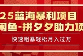 2025 最新闲鱼蓝海暴利项目 快速粗暴让你月入过1W不是梦，保姆级教程【揭秘】