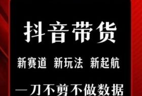 抖音短视频一刀不剪带货，不剪辑，不直播，每天发个视频，等着出单获取带货佣金