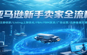 亚马逊新手卖家全流程，注册收款/Listing上架优化/ FBA/FBM发货/广告运营/品牌备案