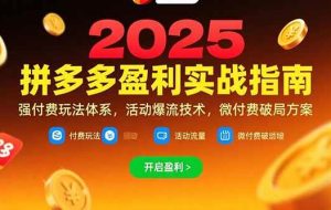 （15357期）拼多多盈利实战指南，强付费玩法，活动爆流技术，微付费破局方案(更新7月)