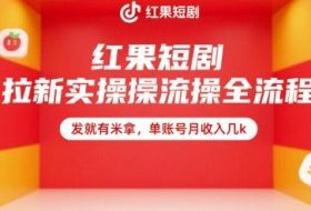 红果短剧拉新实操全流程，发就有米拿，单账号月收入几k
