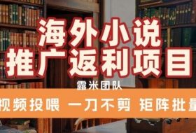 海外小说推广返利项目，视频投喂， 一刀不剪，矩阵批量
